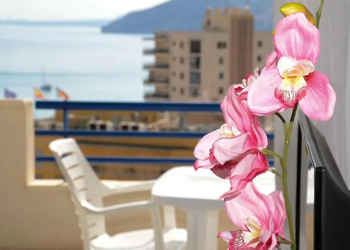 Apcostas Turquesa Playa - Apartmán Calpe